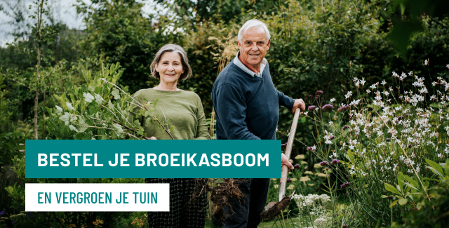 Broeikasboom afbeelding