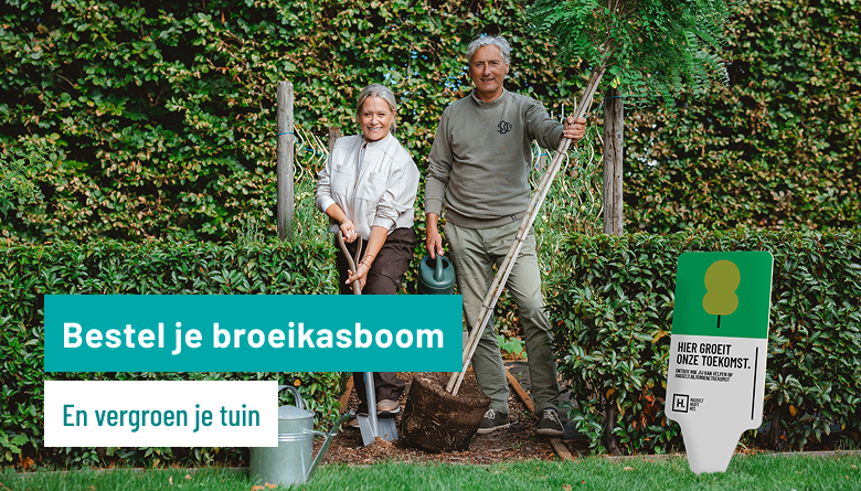 Broeikasboom afbeelding